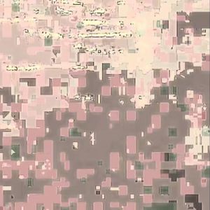 湖畔（ft.洛天依）