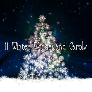 We Wish Your A Merry Christmas