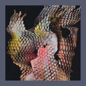 Voicing Something (Dub)