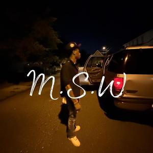 Msw