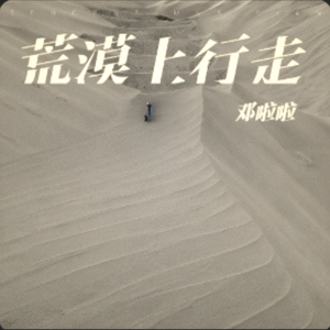 荒漠上行走