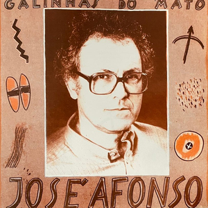 Alegria Da Criação