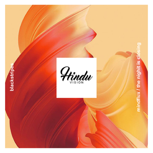 Mindflux (Original Mix)