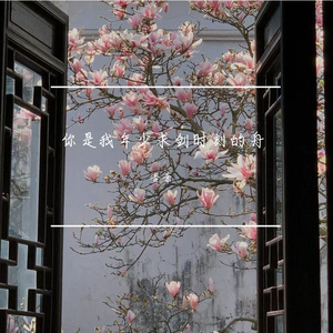 你是我年少求剑时刻的舟