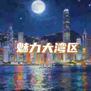 魅力大湾区