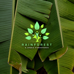 African Jungle Ambiance