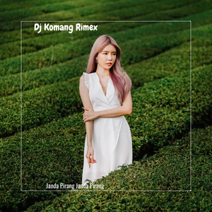 Janda Pirang Janda Pirang (Remix)