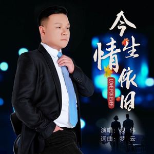 谈伟 / 谈伟-今生情依旧DJ版（谈伟 remix）