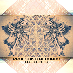 Individual Experience