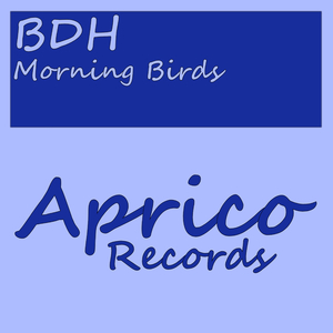 Morning Birds