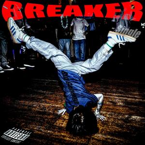 breaker