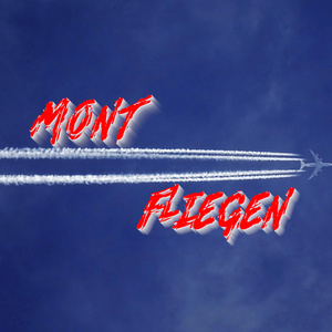 Fliegen
