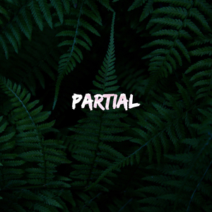 Pauta