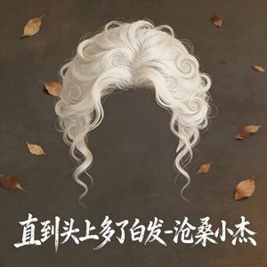 直到头上多了白发