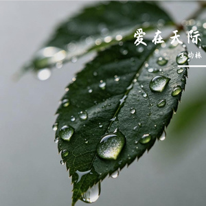 爱在天际 女声版