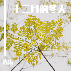 十二月的冬天