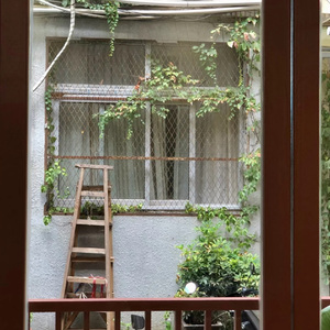 已经开始期待夏天咯