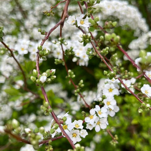 When I left work yesterday