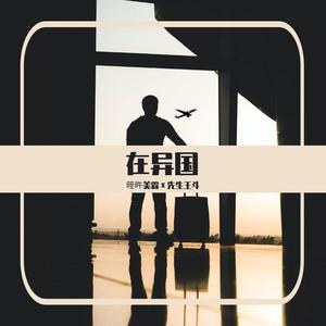 在异国