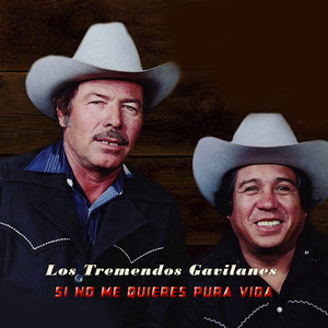 Si No Me Quieres Pura Vida