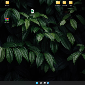 新录音1_20220404_124301