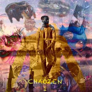 The Case