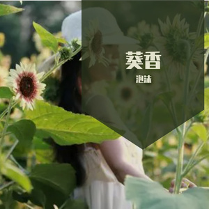 葵香