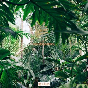 酒店忧郁的爵士