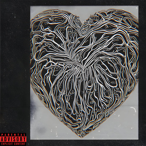 Shoot Heart