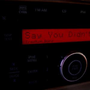 Say You Didn't