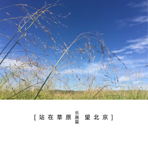 站在草原望北京(倒悬版)