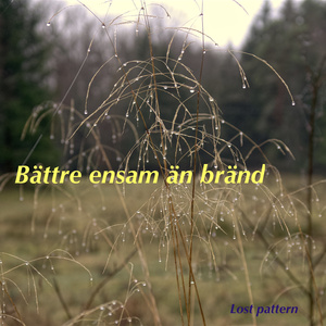 Bättre ensam än bränd