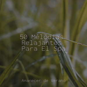 Lamentando Odisea Lunar