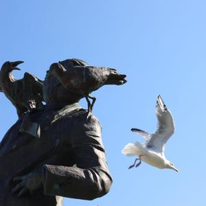 Zugvögel (feat. Talfelt)