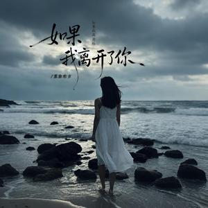 如果我离开了你