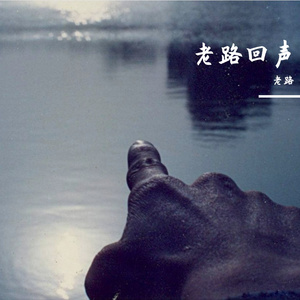 老路的流年