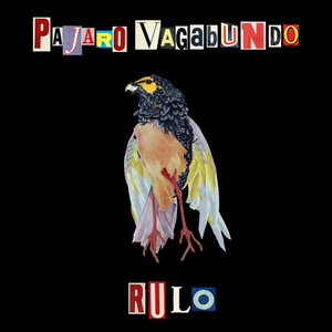 Pajaro Vagabundo (Remix)