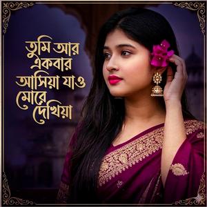 তুমি আর একবার আসিয়া যাও মোরে দেখিয়া।