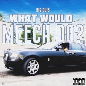 WHAT WOULD MEECH DO