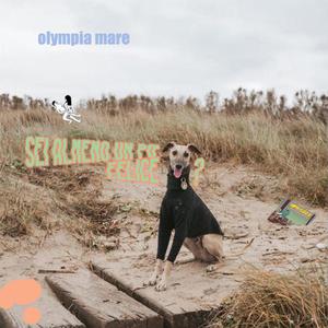 Vetrine (feat. Jacopo Lietti)