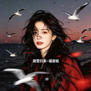 踏雪归来 (DJ涵涵版)