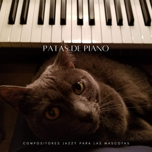 Patas Juguetones De Jazz
