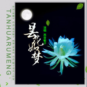 昙花如梦 (伴奏)