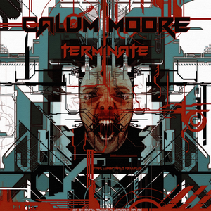 Terminate (The Vizitor Remix)