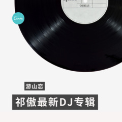 这城市有多少人和我一样 (DJ版)