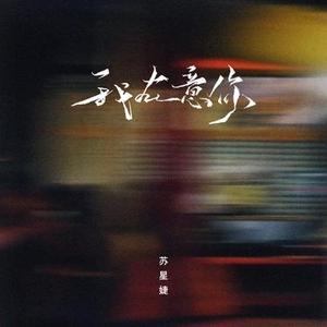 我在意你 (0.8x)