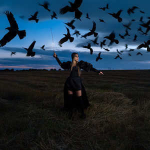 Чёрные вороны