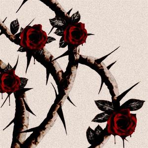Wallflower