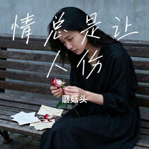 情总是让人伤