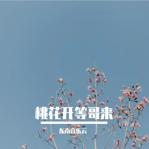 桃花开等哥来